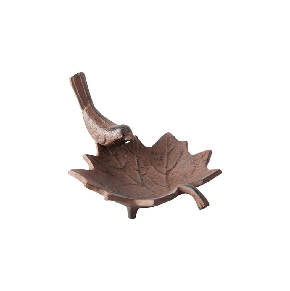Baño de pájaros iron hoja