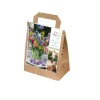 Bolsa 40 bulbos spring mix cut flower