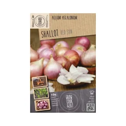 Bulbos chalota red sun 10uds