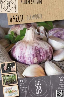 Bulbos de Ajos 'Germidour'