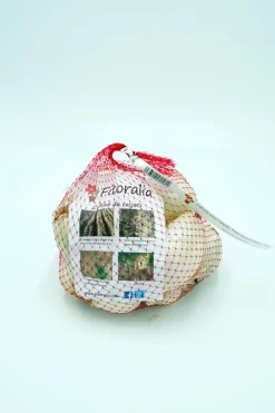 Calçots bolsa 2k- Planta de huerto