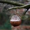 Coco relleno de sebo