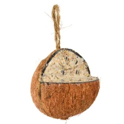 Coco relleno de sebo