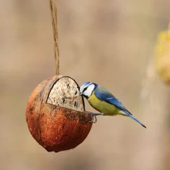 Coco relleno de sebo