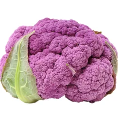 Coliflor morada - Planta de huerto