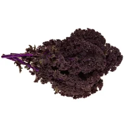 Col kale morada - Planta de huerto