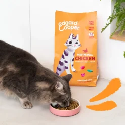 Comida seca Premium para gatitos (sabor pollo) Edgard&Cooper