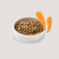 Comida seca Premium para gatitos (sabor pollo) Edgard&Cooper