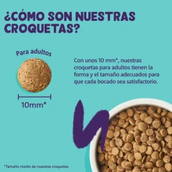 Comida seca Premium para gatitos (sabor pollo) Edgard&Cooper