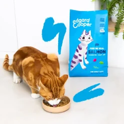 Comida seca Premium para gatos adultos (sabor salmón) Edgard&Cooper