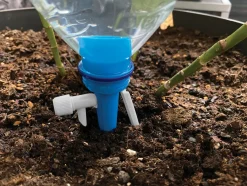 Cono de riego para botellas Aqua Control (pack 6 unidades)