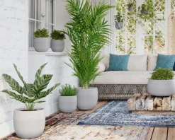 Cuenco hemera crema