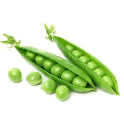 Guisante mata alta - Pack de 6 plantas de huerto
