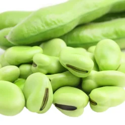 Haba - Planta de huerto