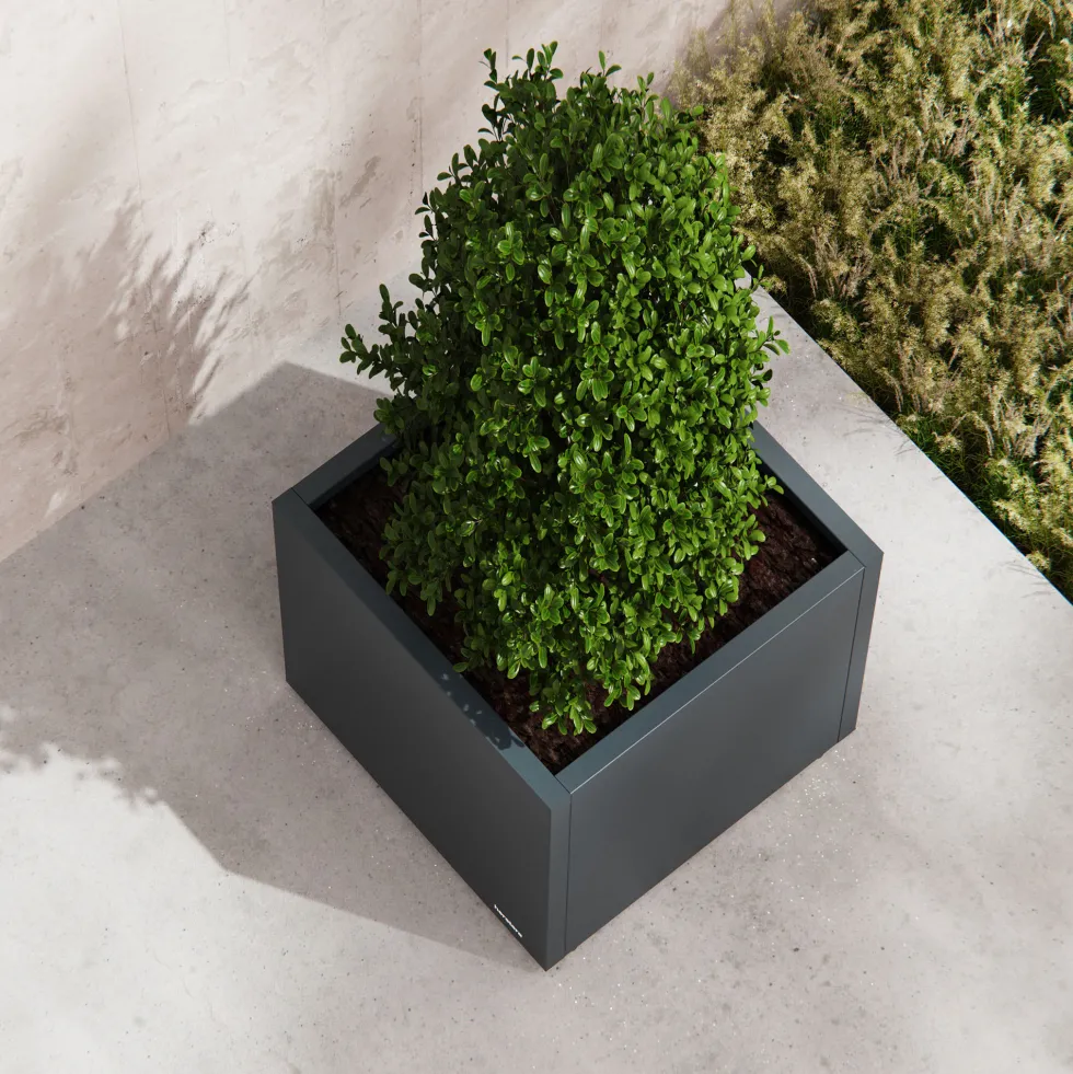 Herstera Metal Planter - Jardinera CUBE antracita