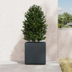 Herstera Metal Planter - Jardinera CUBE antracita