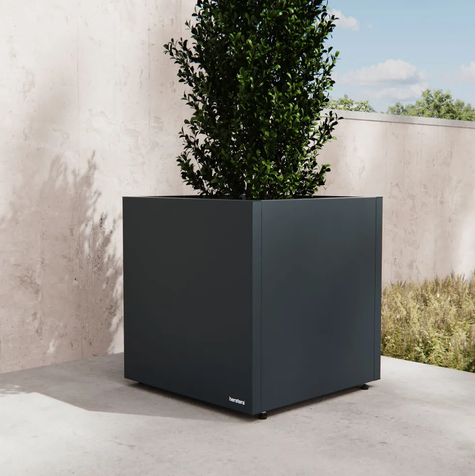 Herstera Metal Planter - Jardinera CUBE antracita