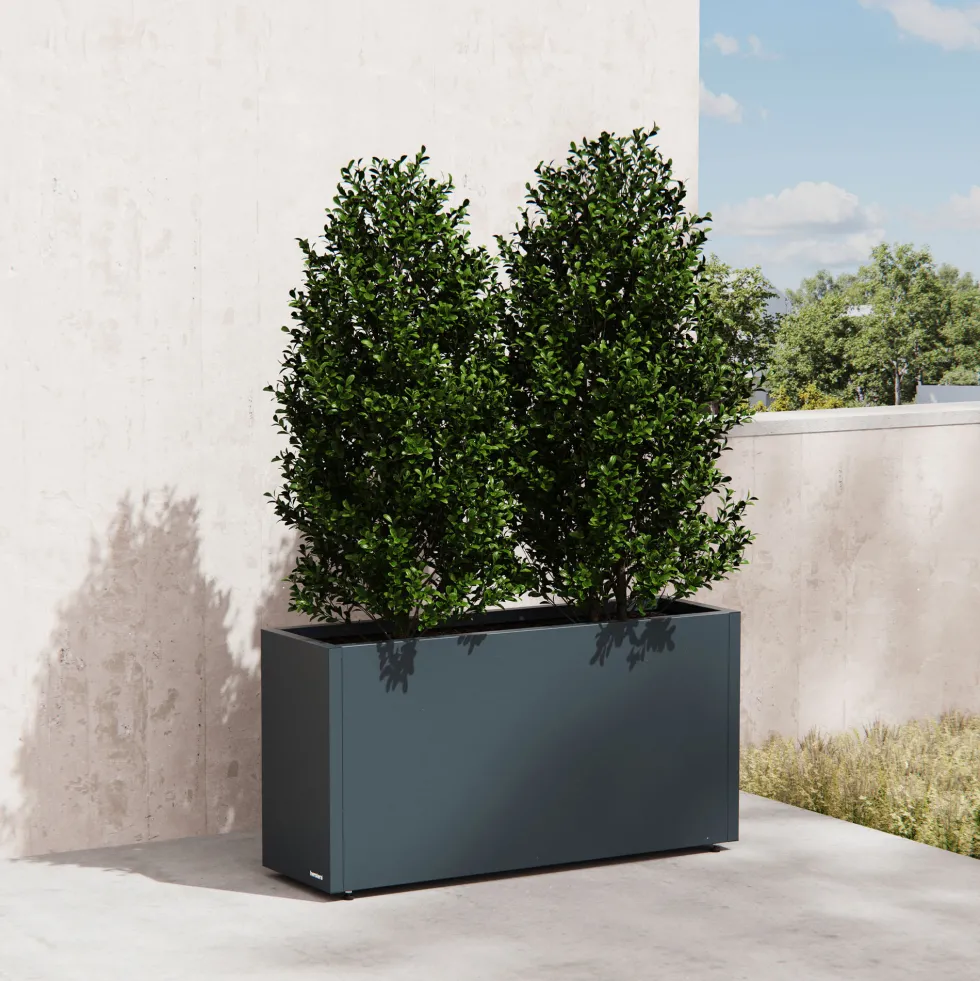 Herstera Metal Planter - Jardinera METAL PLANTER 30 antracita
