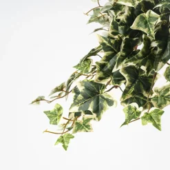 Hiedra Variegata Artificial