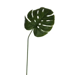 Hoja de monstera vara larga