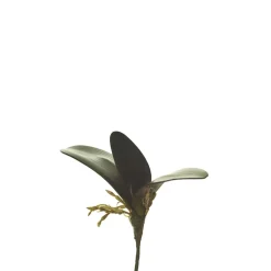 Hoja de orquídea con raíces artificial