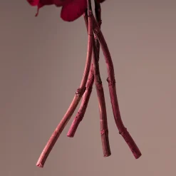 Hortensia Preservada Bizancio