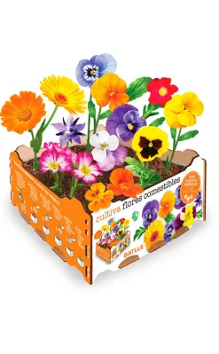 Huerto Premium Flores Comestibles Batlle