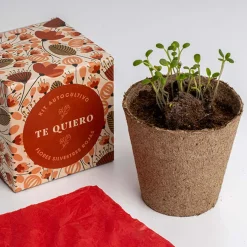Kit Autocultivo Díselo con Flores (Te quiero) Resetea