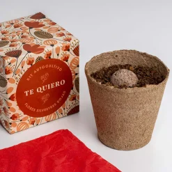 Kit Autocultivo Díselo con Flores (Te quiero) Resetea