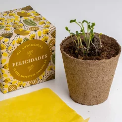 Kit Autocultivo Díselo con Flores (Felicidades) Resetea