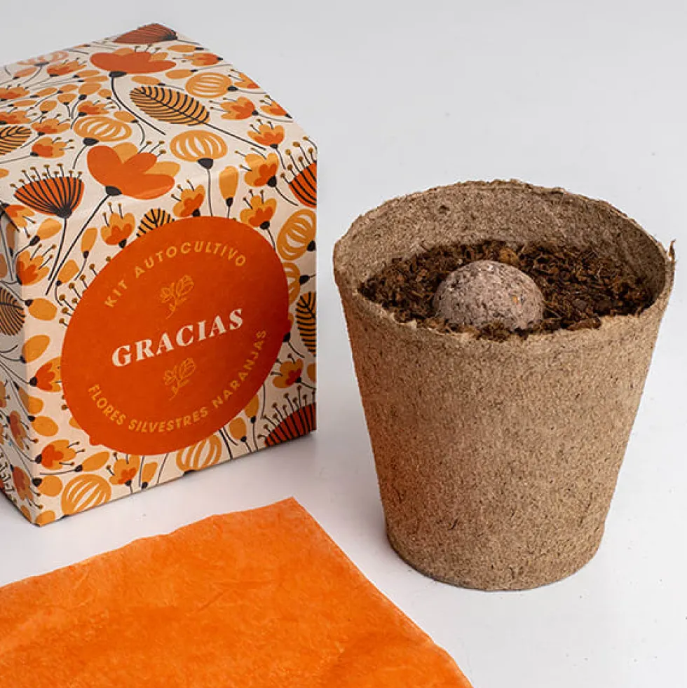Kit Autocultivo Díselo con Flores (Gracias) Resetea