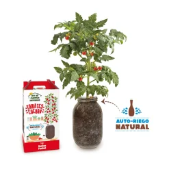 Kit Cultiva tus tomates Cherry