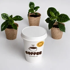 Kit de cultivo 'Café arábica'