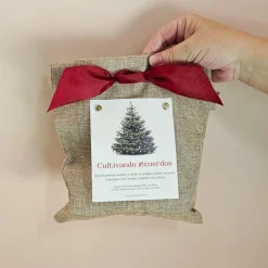 Kit de Cultivo Pino Navideño