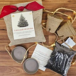 Kit de Cultivo Pino Navideño