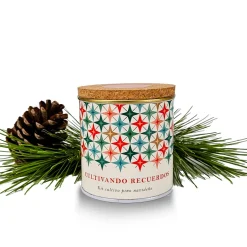 Kit de Cultivo Piño Paisaje Estrellado