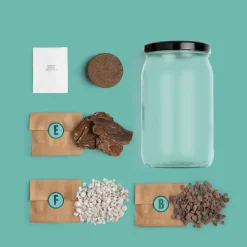 Kit de cultivo 'Terrarium'