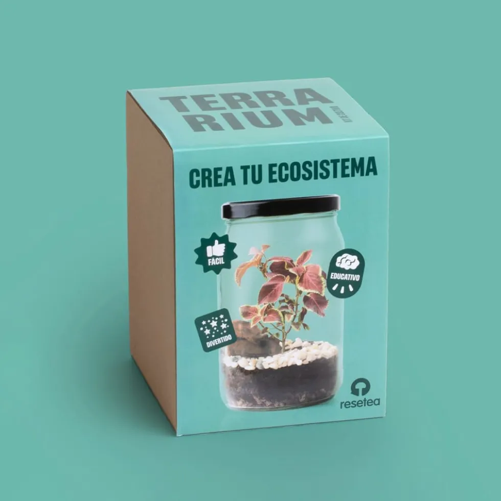 Kit de cultivo 'Terrarium'