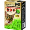 Kit hierba gatos Batlle