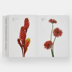 Libro guía cromática floral