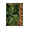 Libro Plantas Inmortales: 40 Plantas de Interior Resistentes para Jardineros Novatos