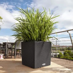 Maceta Autorriego Lechuza Cube Cottage granito