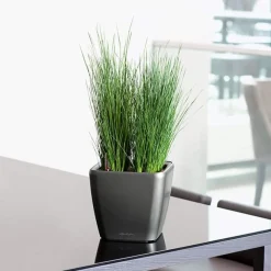 Maceta Autorriego Lechuza Quadro Premium antracita metal