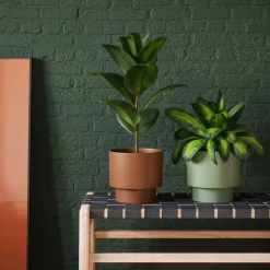Maceta de Interior Artevasi Nysa verde mate