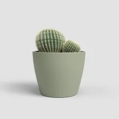 Maceta de Interior Nubia Cactus verde