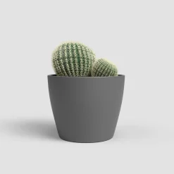 Maceta de Interior Nubia Cactus antracita