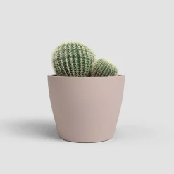 Maceta de Interior Nubia Cactus rosa claro
