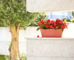 Maceta de plástico Artevasi antracita Venezia jardinera con reserva