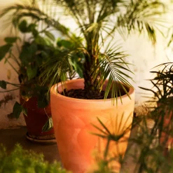 Maceta de Resina Violeta Terracota - New Garden