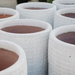 Maceta Fronda Angkor blanco (Jarrón Anong)